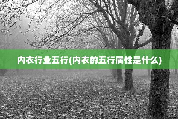 内衣行业五行(内衣的五行属性是什么)