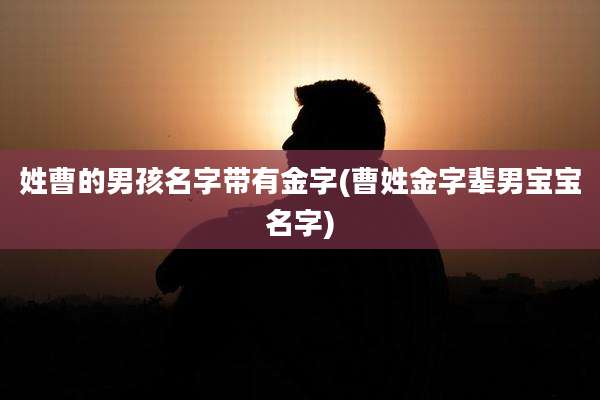 姓曹的男孩名字带有金字(曹姓金字辈男宝宝名字)