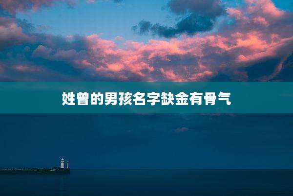 姓曾的男孩名字缺金有骨气