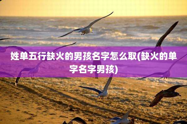 姓单五行缺火的男孩名字怎么取(缺火的单字名字男孩)