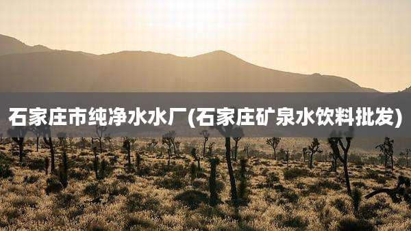 石家庄市纯净水水厂(石家庄矿泉水饮料批发)