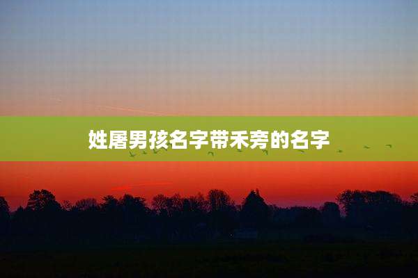 姓屠男孩名字带禾旁的名字