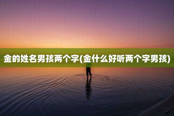 金的姓名男孩两个字(金什么好听两个字男孩)