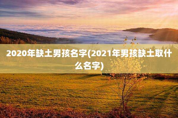 2020年缺土男孩名字(2021年男孩缺土取什么名字)