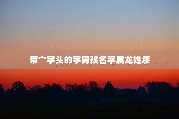 带宀字头的字男孩名字属龙姓廖