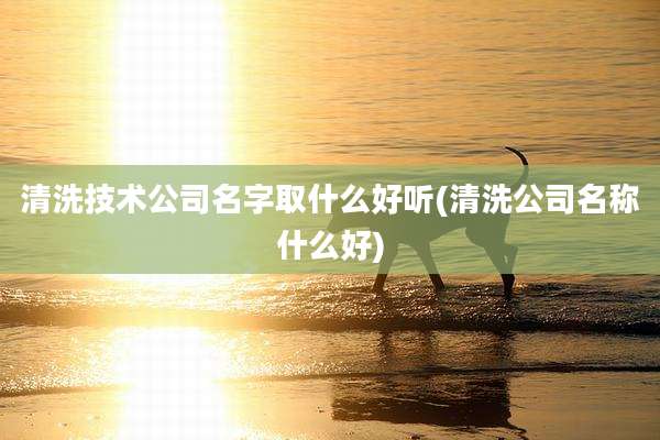 清洗技术公司名字取什么好听(清洗公司名称什么好)