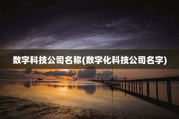 数字科技公司名称(数字化科技公司名字)