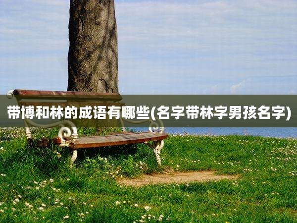 带博和林的成语有哪些(名字带林字男孩名字)