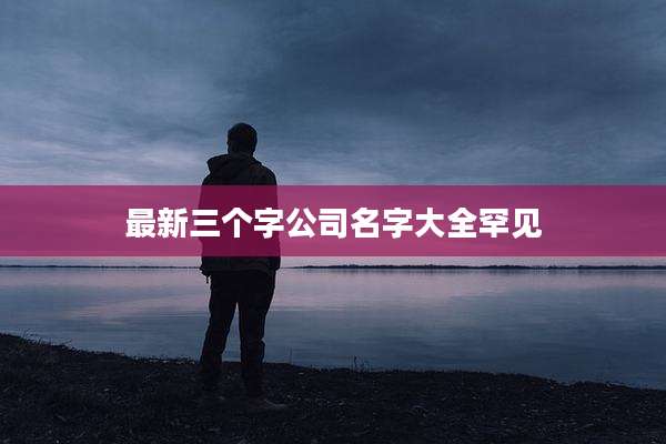 最新三个字公司名字大全罕见