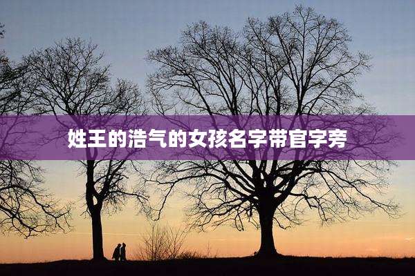 姓王的浩气的女孩名字带官字旁