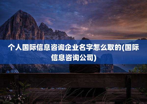 个人国际信息咨询企业名字怎么取的(国际信息咨询公司)