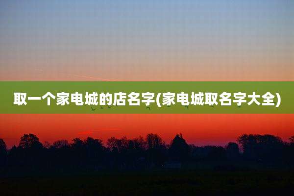 取一个家电城的店名字(家电城取名字大全)