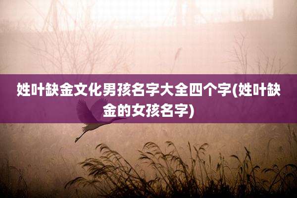 姓叶缺金文化男孩名字大全四个字(姓叶缺金的女孩名字)