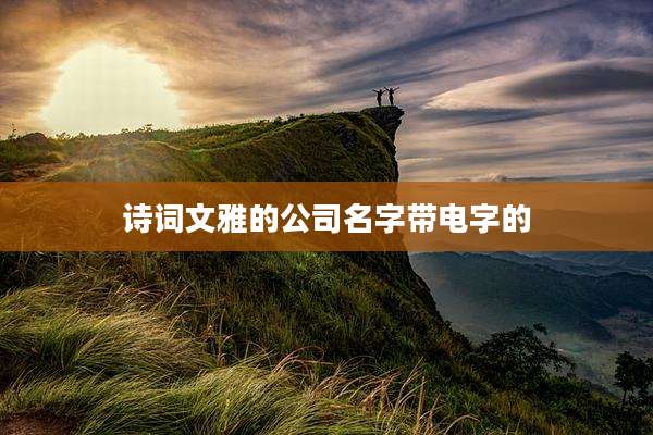 诗词文雅的公司名字带电字的