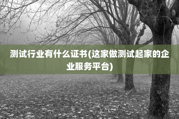测试行业有什么证书(这家做测试起家的企业服务平台)