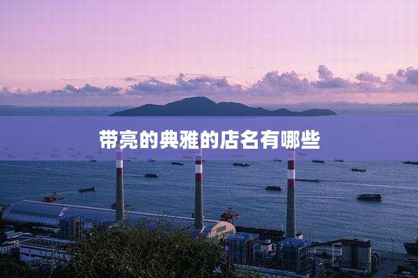 带亮的典雅的店名有哪些