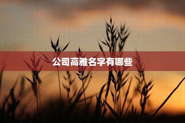 公司高雅名字有哪些