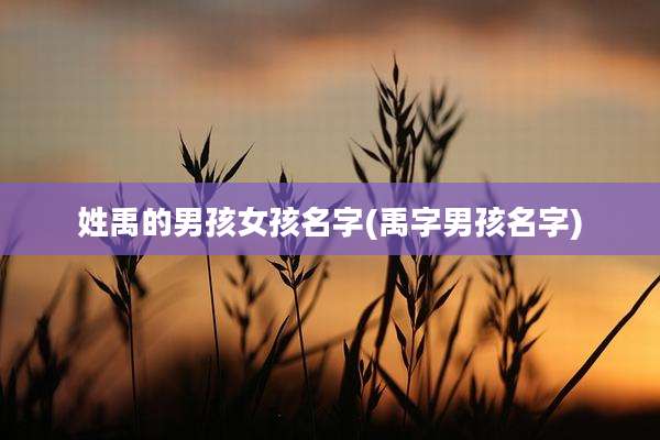 姓禹的男孩女孩名字(禹字男孩名字)