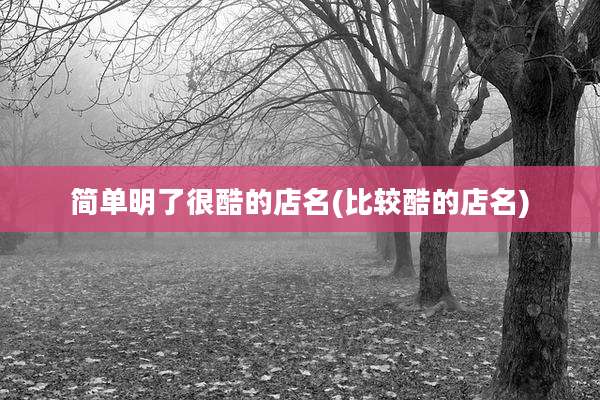 简单明了很酷的店名(比较酷的店名)