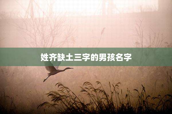 姓齐缺土三字的男孩名字