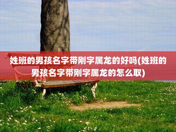 姓班的男孩名字带刚字属龙的好吗(姓班的男孩名字带刚字属龙的怎么取)