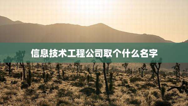 信息技术工程公司取个什么名字