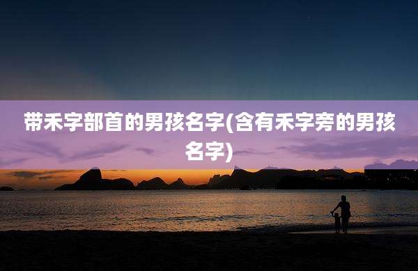 带禾字部首的男孩名字(含有禾字旁的男孩名字)