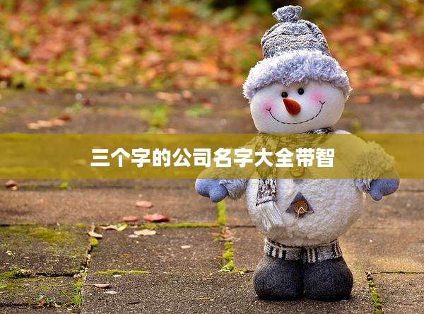三个字的公司名字大全带智