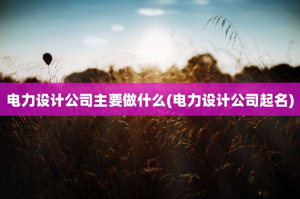电力设计公司主要做什么(电力设计公司起名)