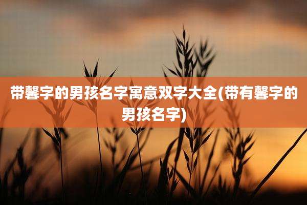 带馨字的男孩名字寓意双字大全(带有馨字的男孩名字)