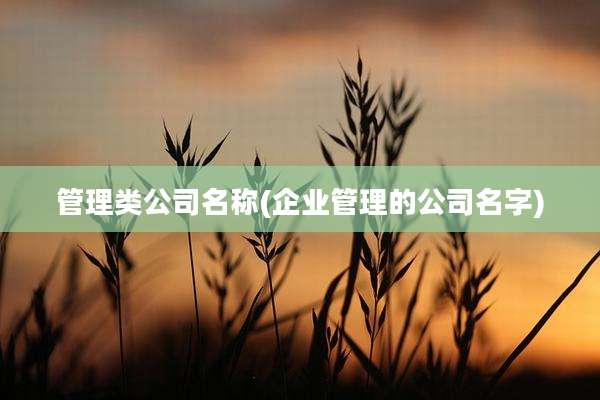 管理类公司名称(企业管理的公司名字)