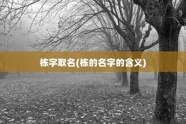 栋字取名(栋的名字的含义)