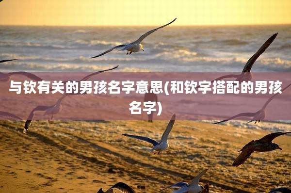 与钦有关的男孩名字意思(和钦字搭配的男孩名字)
