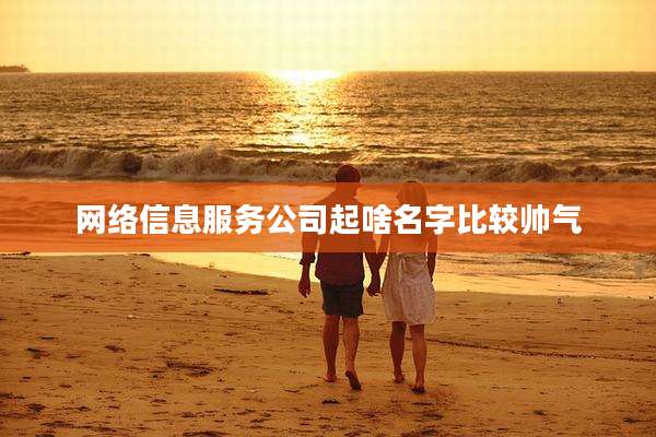 网络信息服务公司起啥名字比较帅气