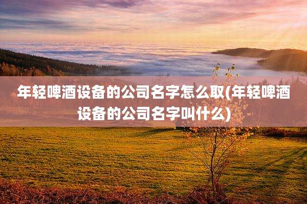 年轻啤酒设备的公司名字怎么取(年轻啤酒设备的公司名字叫什么)