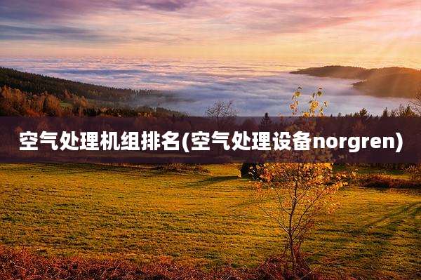 空气处理机组排名(空气处理设备norgren)