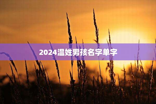 2024温姓男孩名字单字