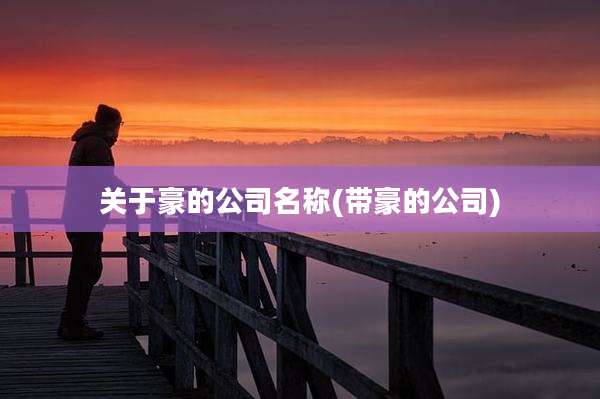 关于豪的公司名称(带豪的公司)