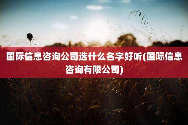 国际信息咨询公司选什么名字好听(国际信息咨询有限公司)