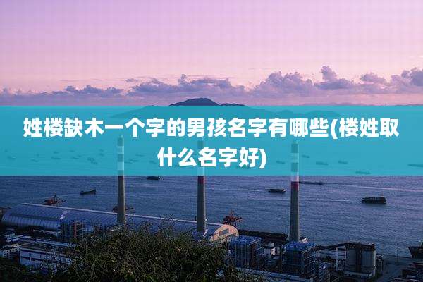 姓楼缺木一个字的男孩名字有哪些(楼姓取什么名字好)