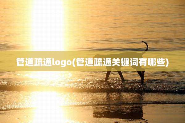 管道疏通logo(管道疏通关键词有哪些)
