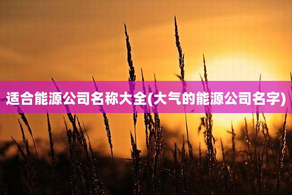 适合能源公司名称大全(大气的能源公司名字)