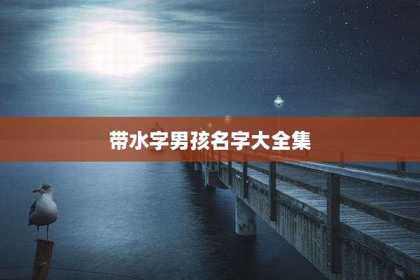 带水字男孩名字大全集