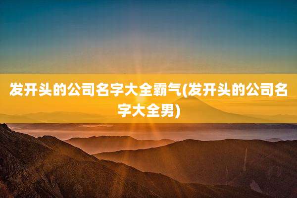 发开头的公司名字大全霸气(发开头的公司名字大全男)