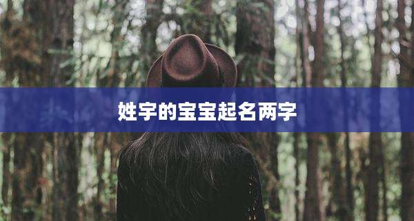 姓宇的宝宝起名两字