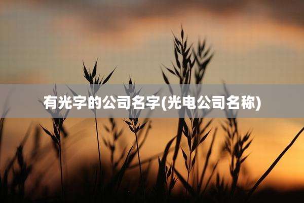 有光字的公司名字(光电公司名称)