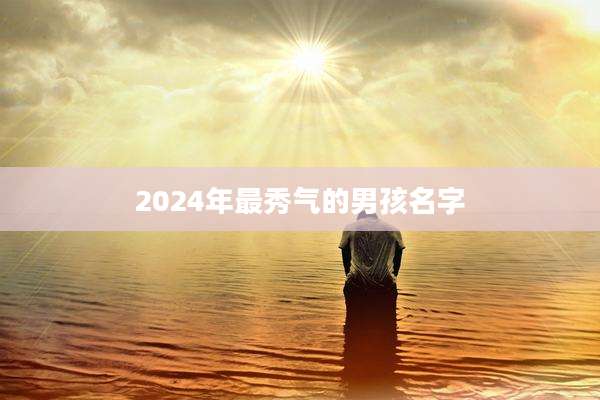 2024年最秀气的男孩名字