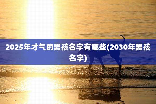 2025年才气的男孩名字有哪些(2030年男孩名字)