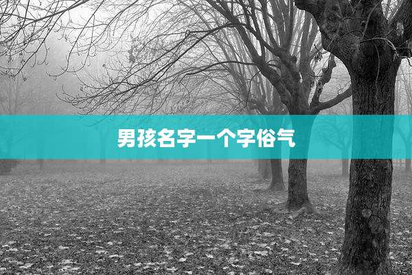 男孩名字一个字俗气