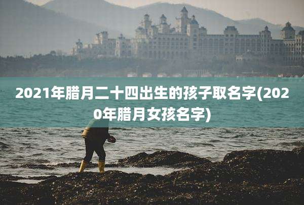 2021年腊月二十四出生的孩子取名字(2020年腊月女孩名字)